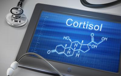 increased cortisol